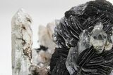 Quartz Crystals On Sparkling Bladed Hematite - Lechang Mine #226004-12